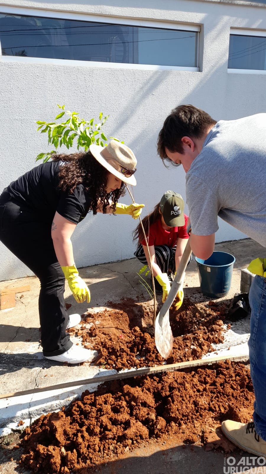 Centro Cultural 25 de Julho realiza projeto de arborização em FW