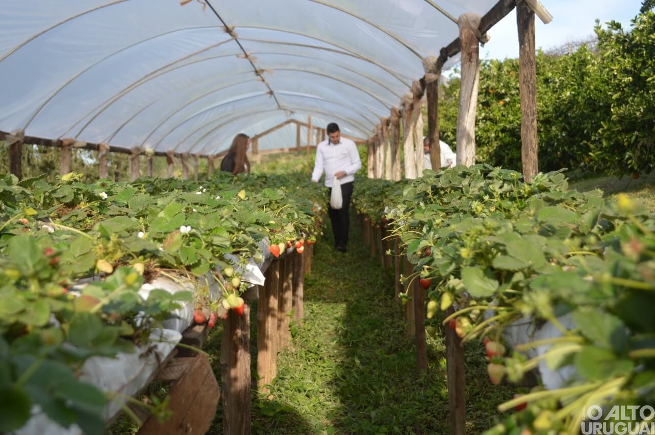 Sabores do Vale Café é inaugurada em FW