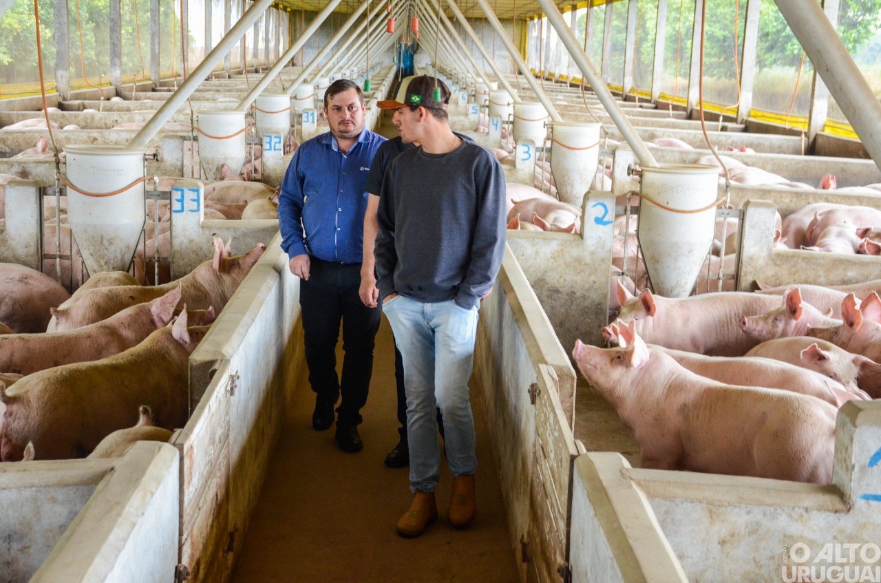O amor pelo agro move a família Kunz de Erval Seco