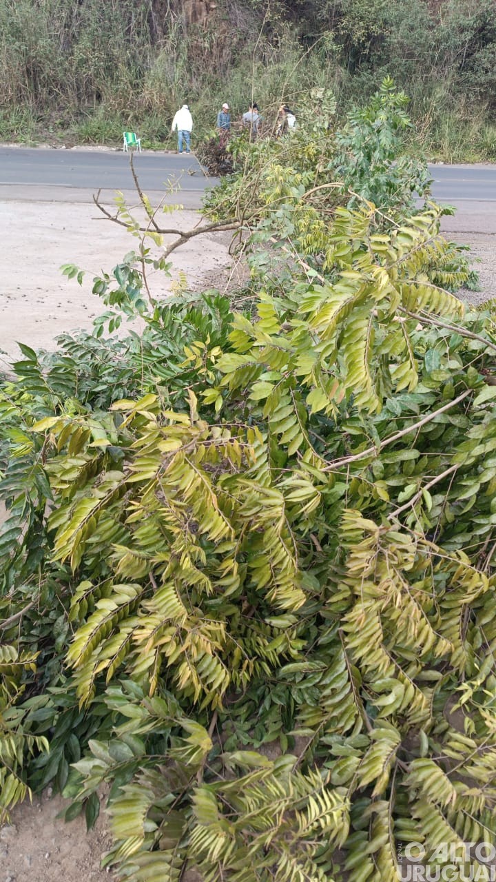 Indígenas bloqueiam rodovias na região