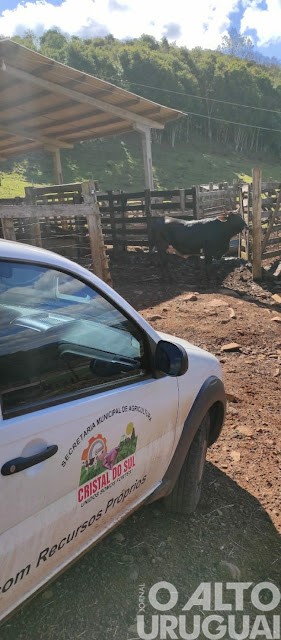 Cristal do Sul: produtores podem solicitar atendimento veterinário gratuito