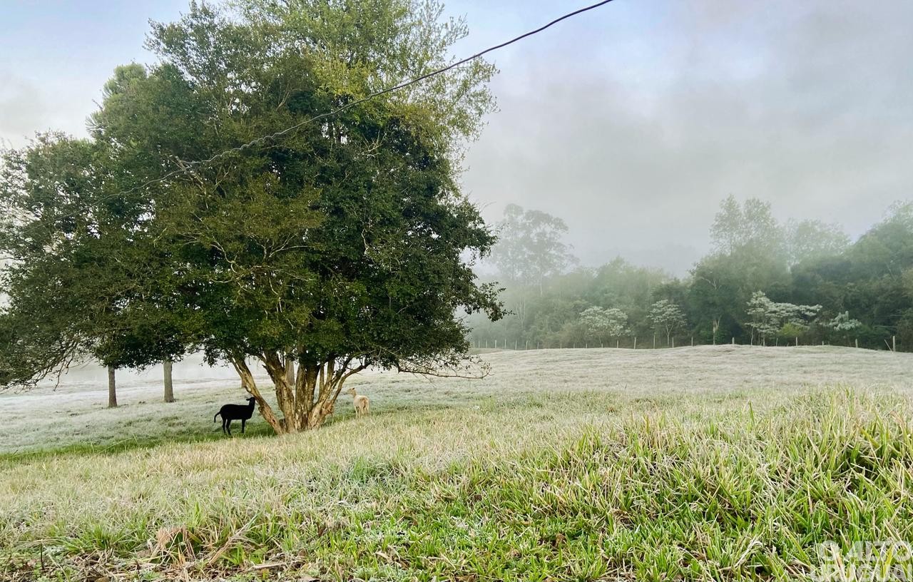 Estudantes do Ensino Fundamental participam da 6ª edição do Concurso Fotográfico de Novo Tiradentes