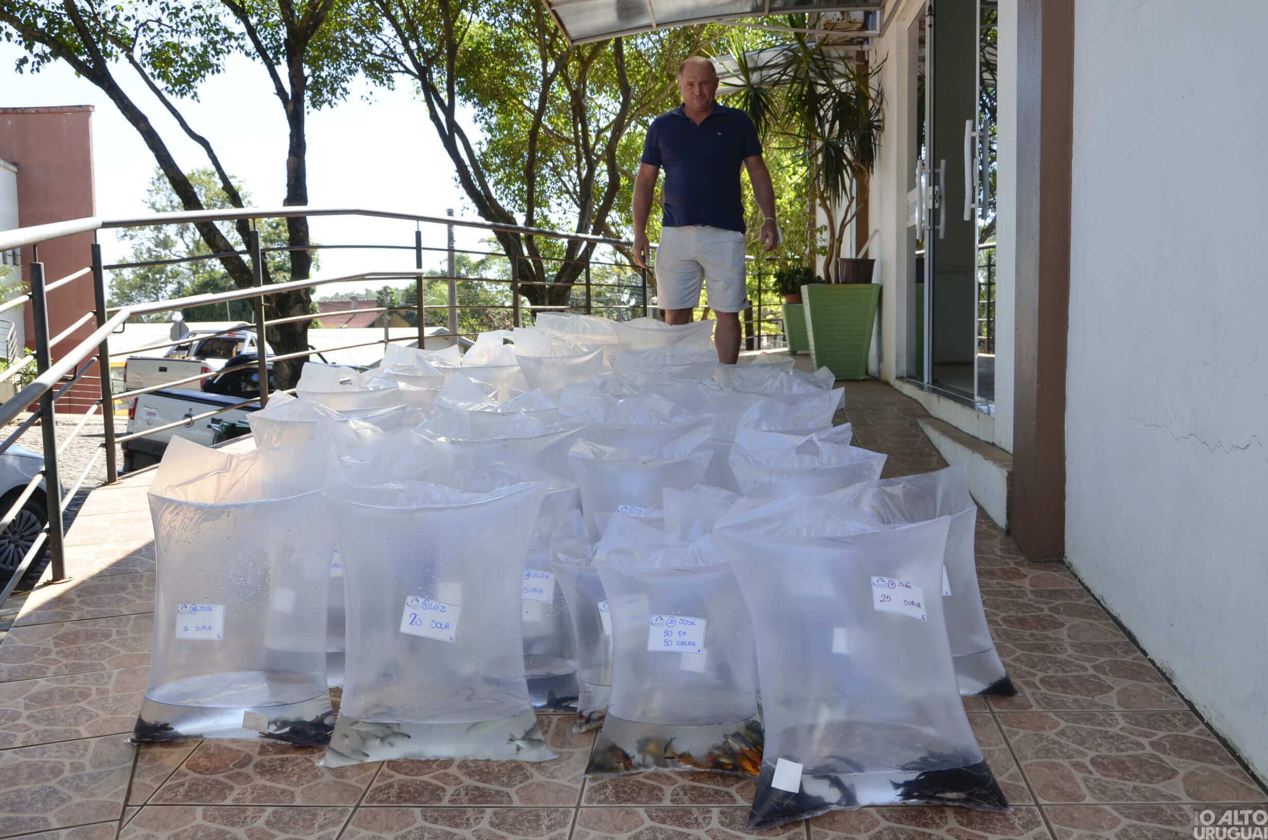 Caiçara: Prazo para pedidos de alevinos está aberto