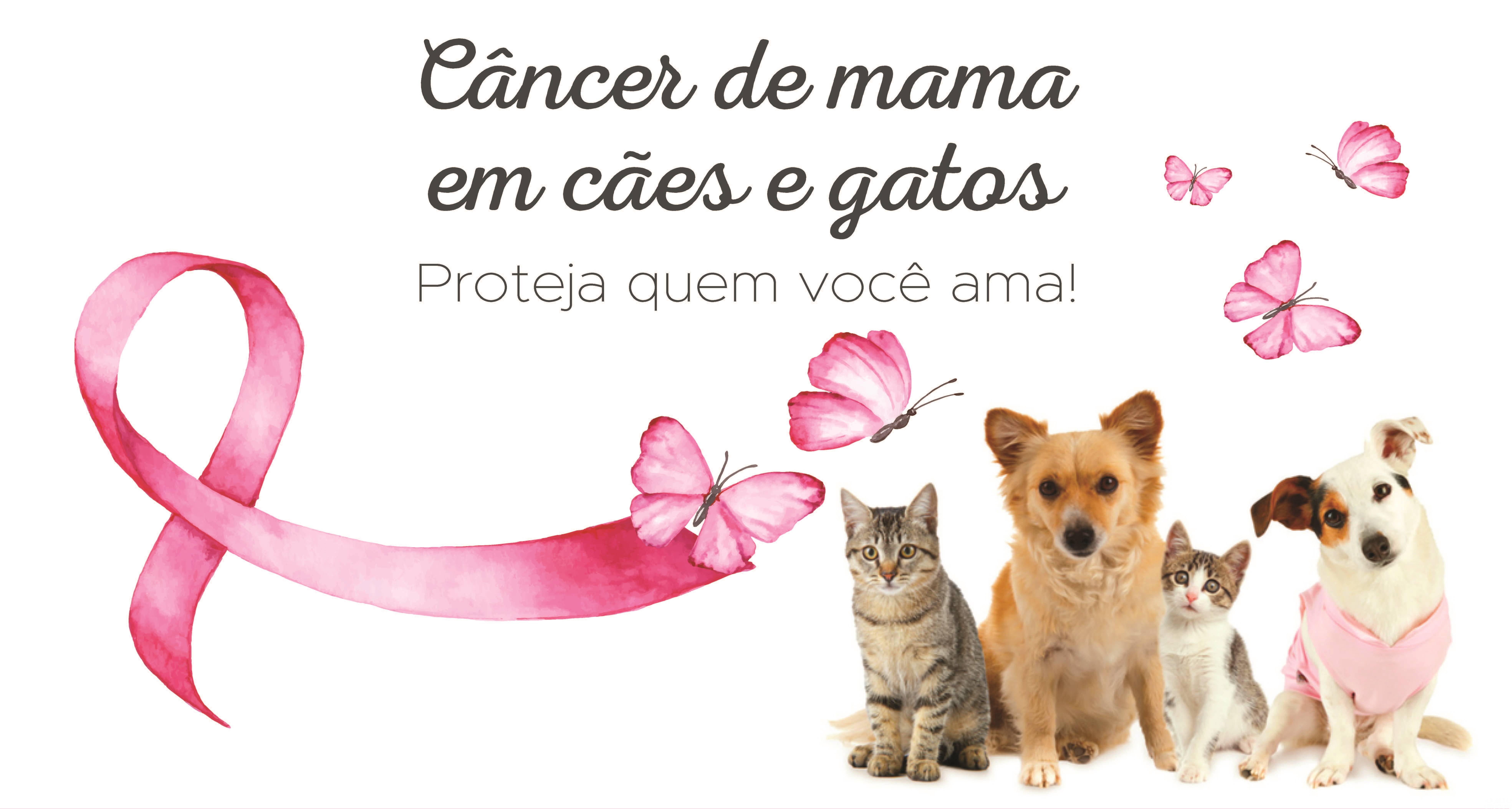 Outubro Rosa Pet acontece neste sábado em FW