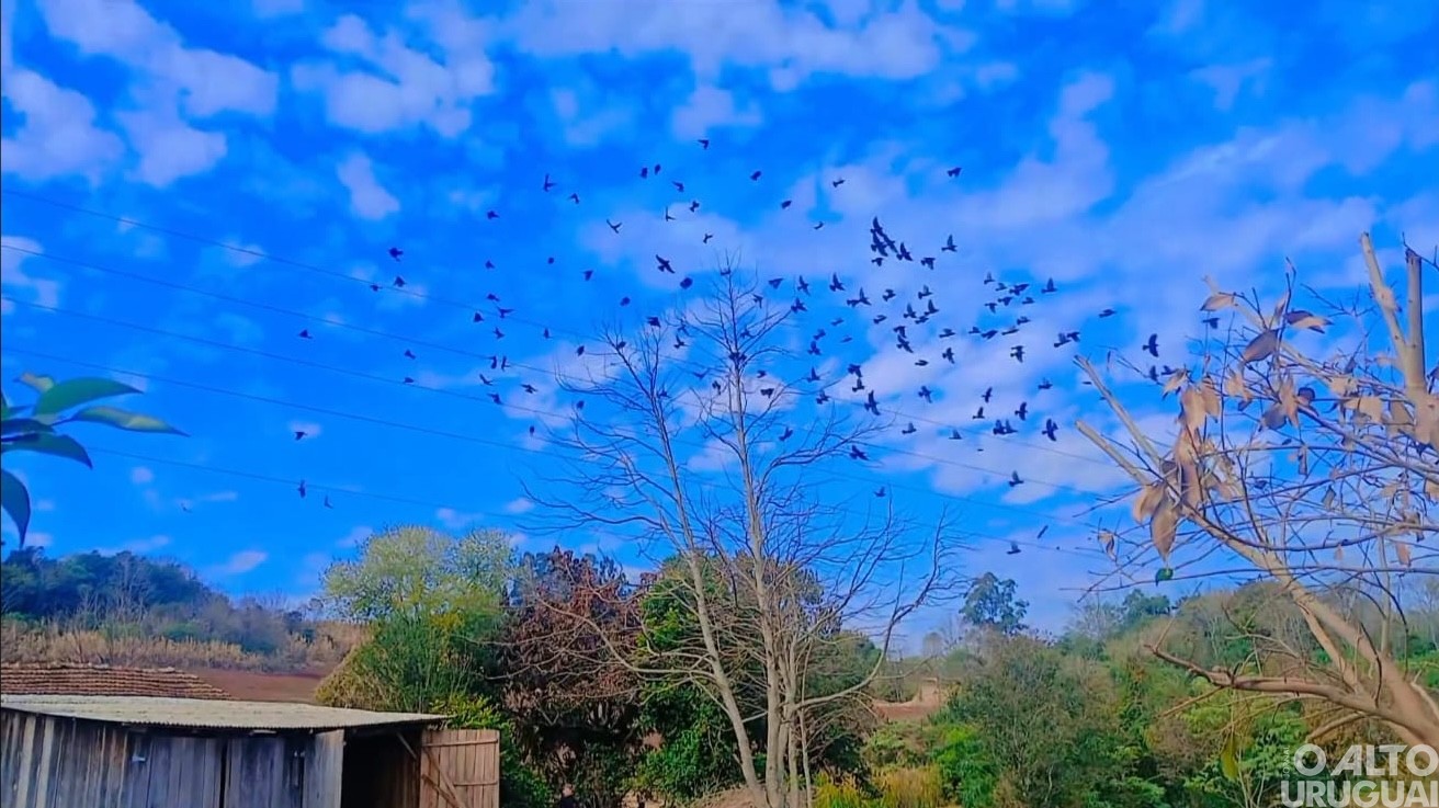 Estudantes do Ensino Fundamental participam da 6ª edição do Concurso Fotográfico de Novo Tiradentes