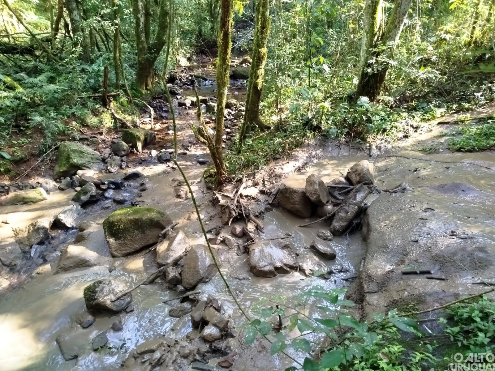 BM flagra intervenção em APP no município de Palmitinho