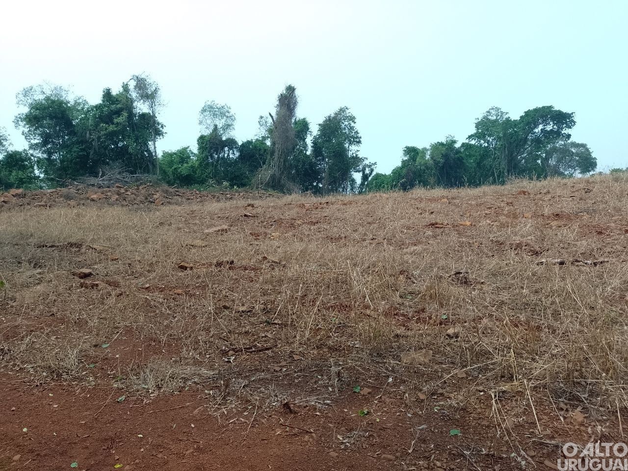BM constata destruição de vegetação nativa em Planalto