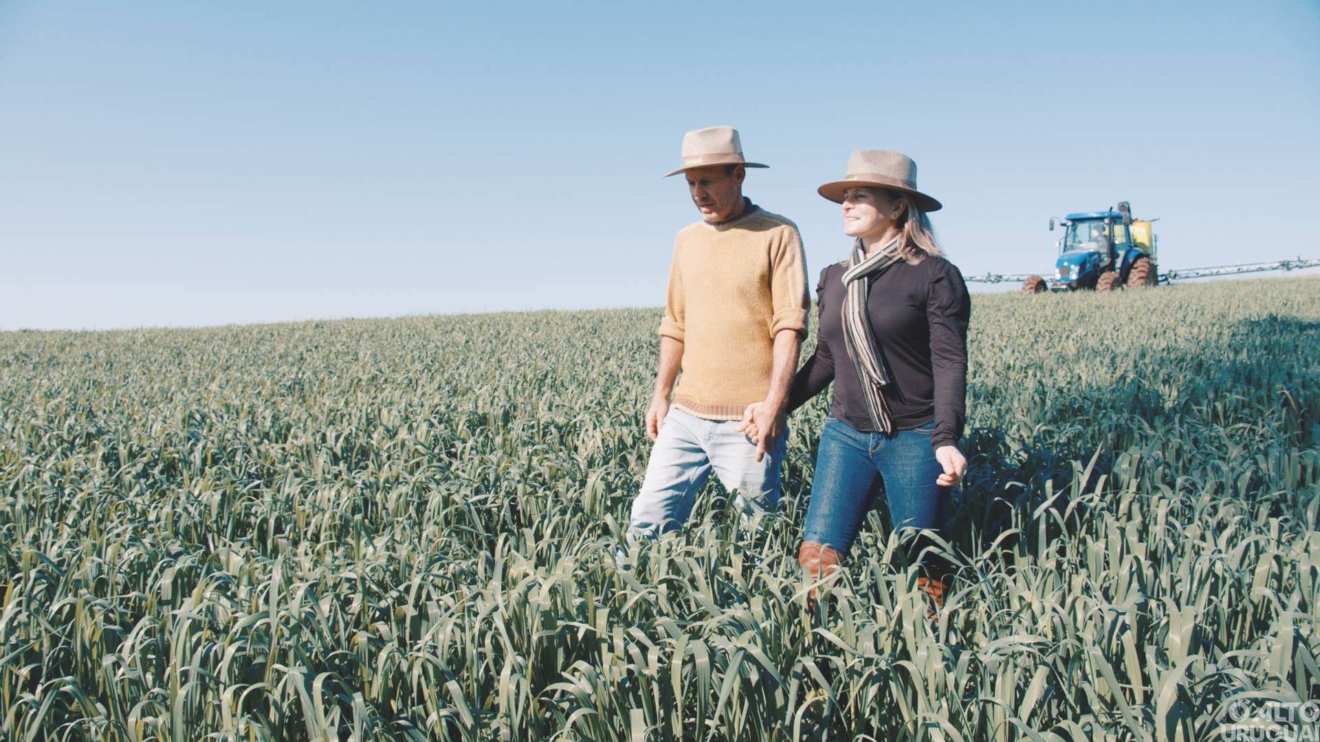Sicredi Mulher impulsiona associada a fazer novos investimentos