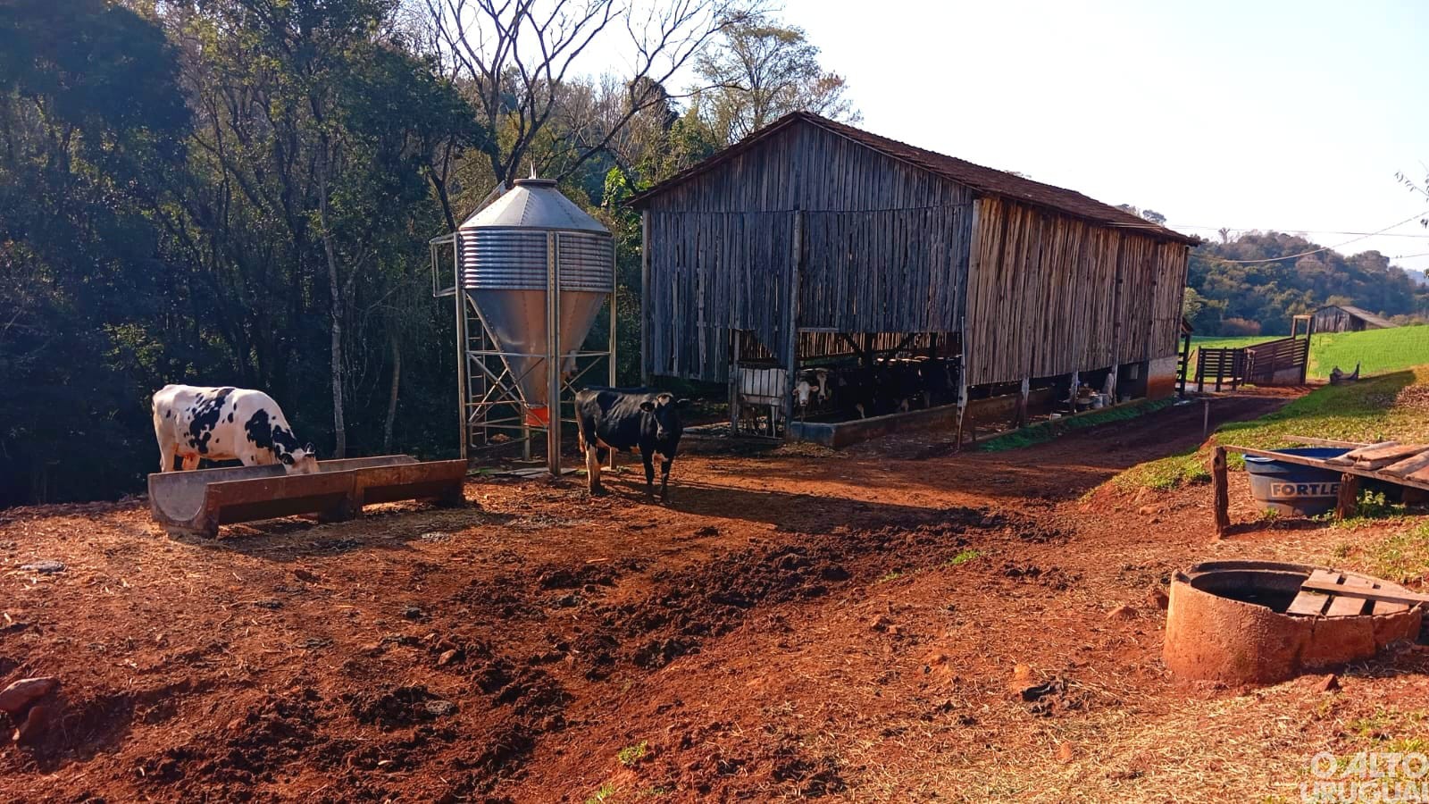 Categoria ensino médio, EJA e livre é destaque no Concurso Fotográfico de Novo Tiradentes