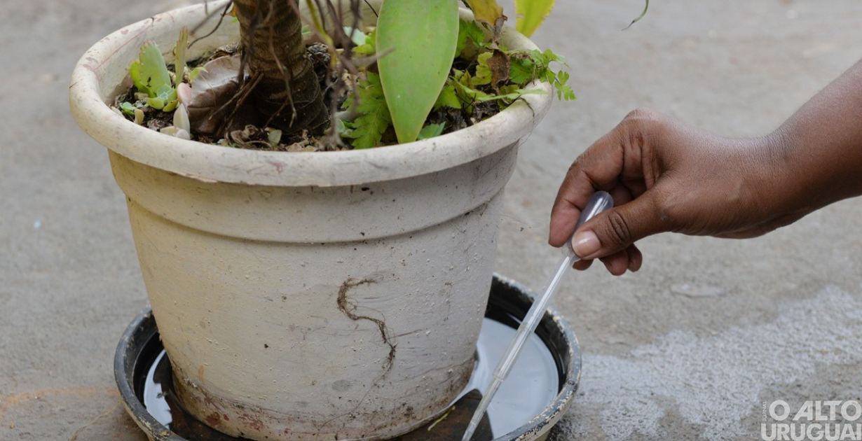 Dia D de Combate à Dengue mobiliza agentes de saúde em Dois Irmãos das Missões