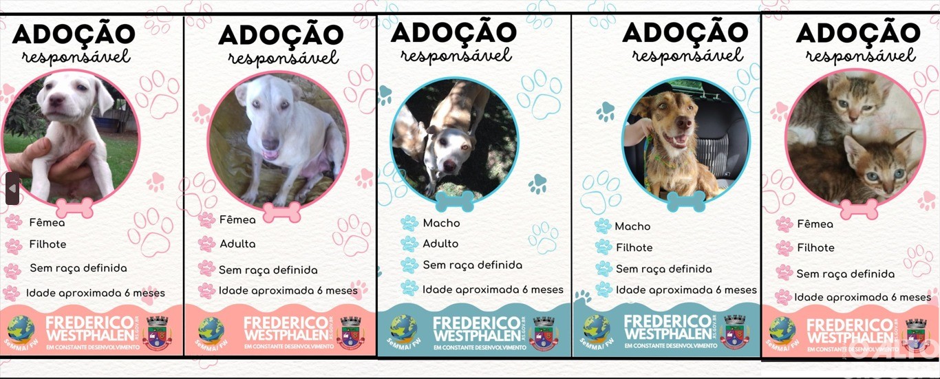 Secretaria do Meio Ambiente de FW promove Feira de Adoção Responsável