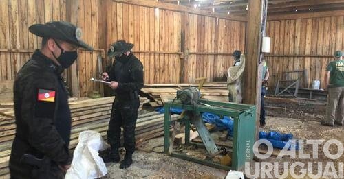 Batalhão Ambiental e Ibama realizam operação conjunta em Planalto