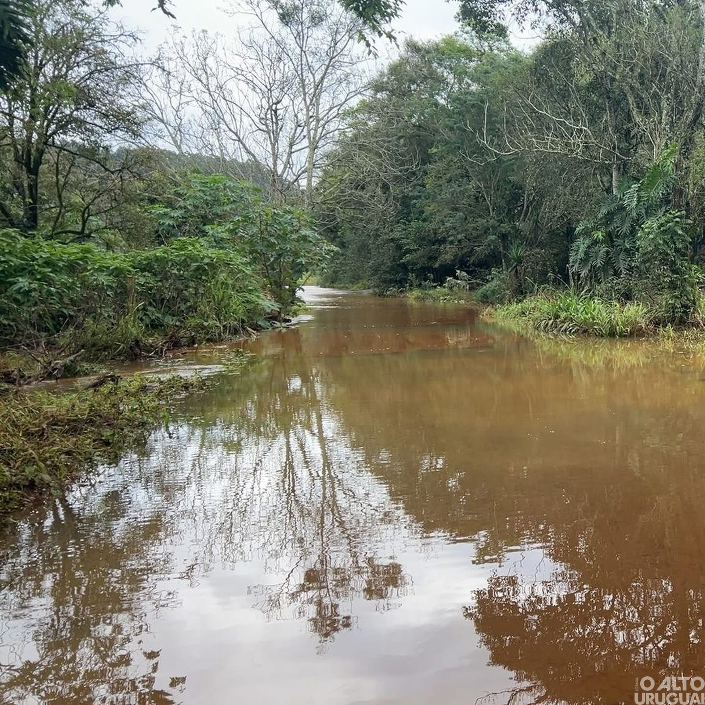 Cheia do rio Mel avança em Iraí e causa alerta nas áreas mais baixas