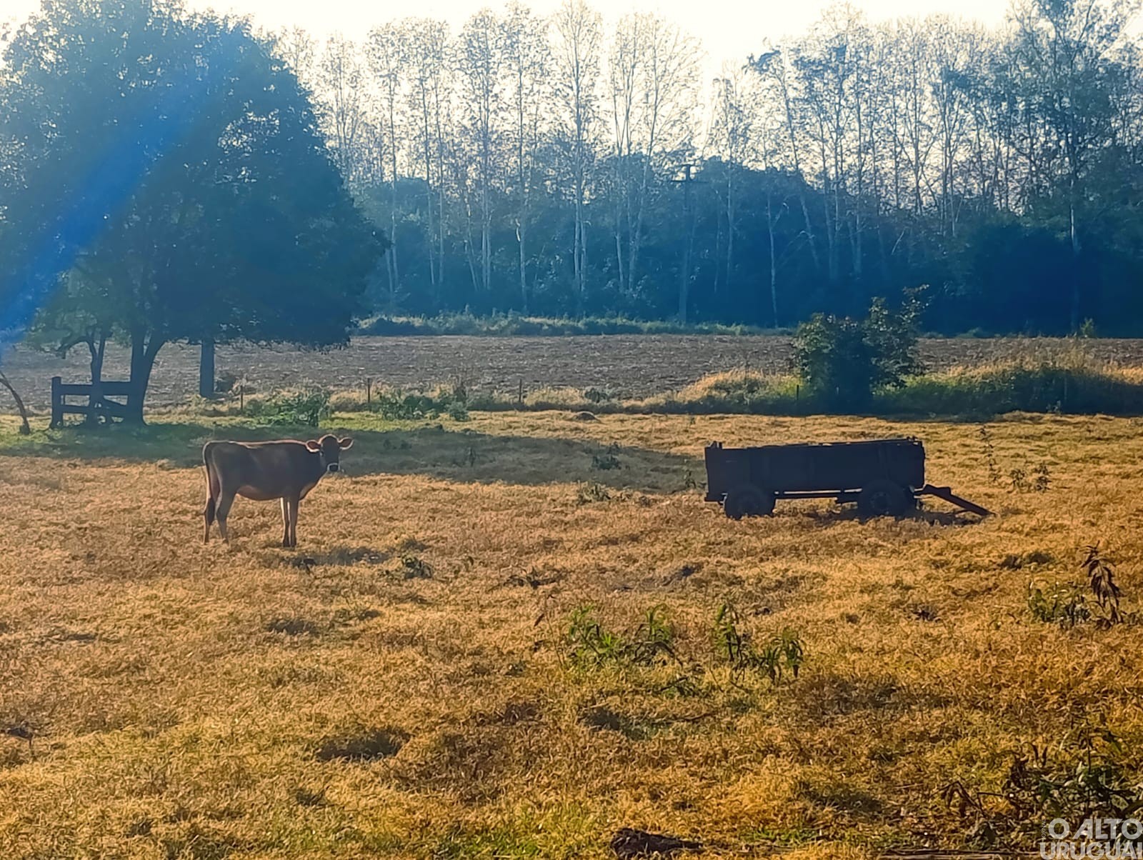 Fotografias registram olhares da infância em Novo Tiradentes
