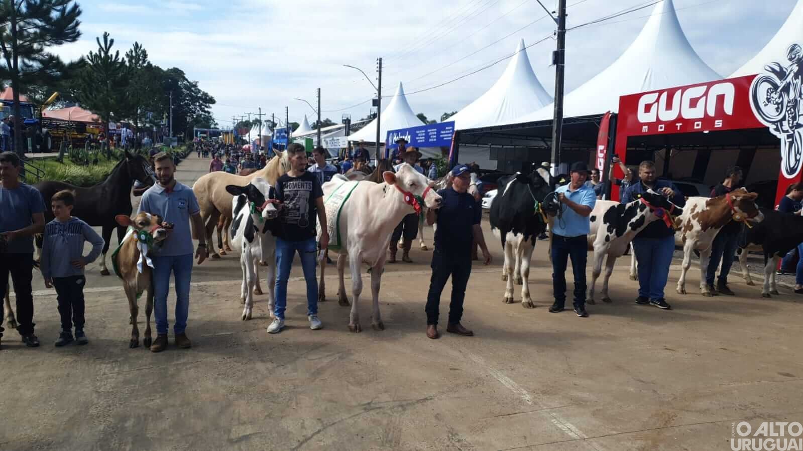 Animais campeões desfilam pela Expofred