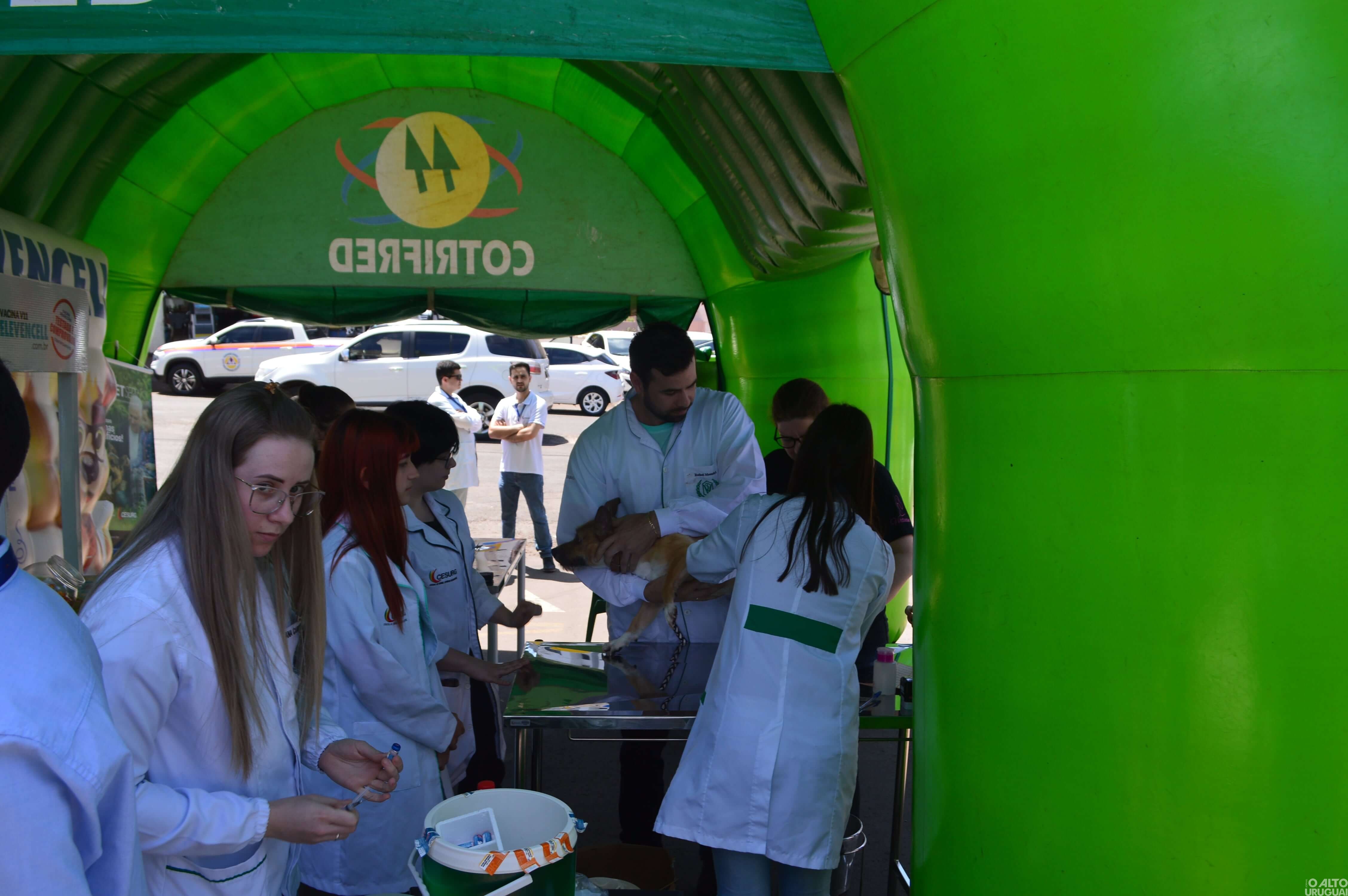 Sábado Pet é realizado em FW