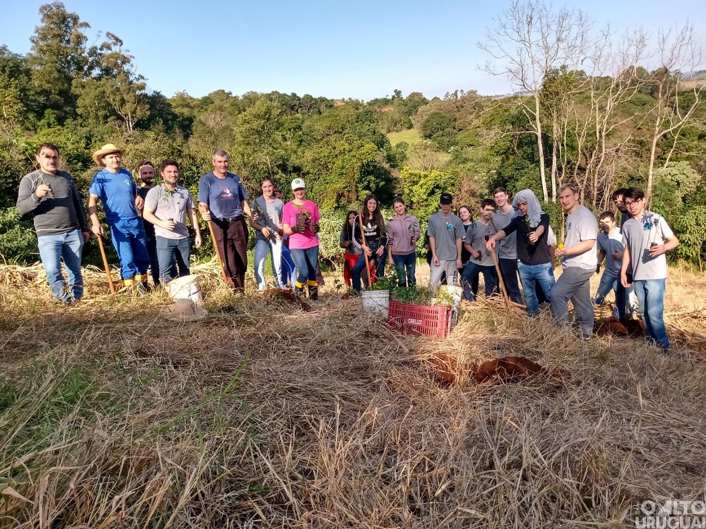 Projeto prevê arborização de áreas verdes de Palmitinho