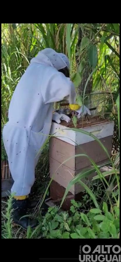 Casa do Mel Gaitkoski é destaque na região
