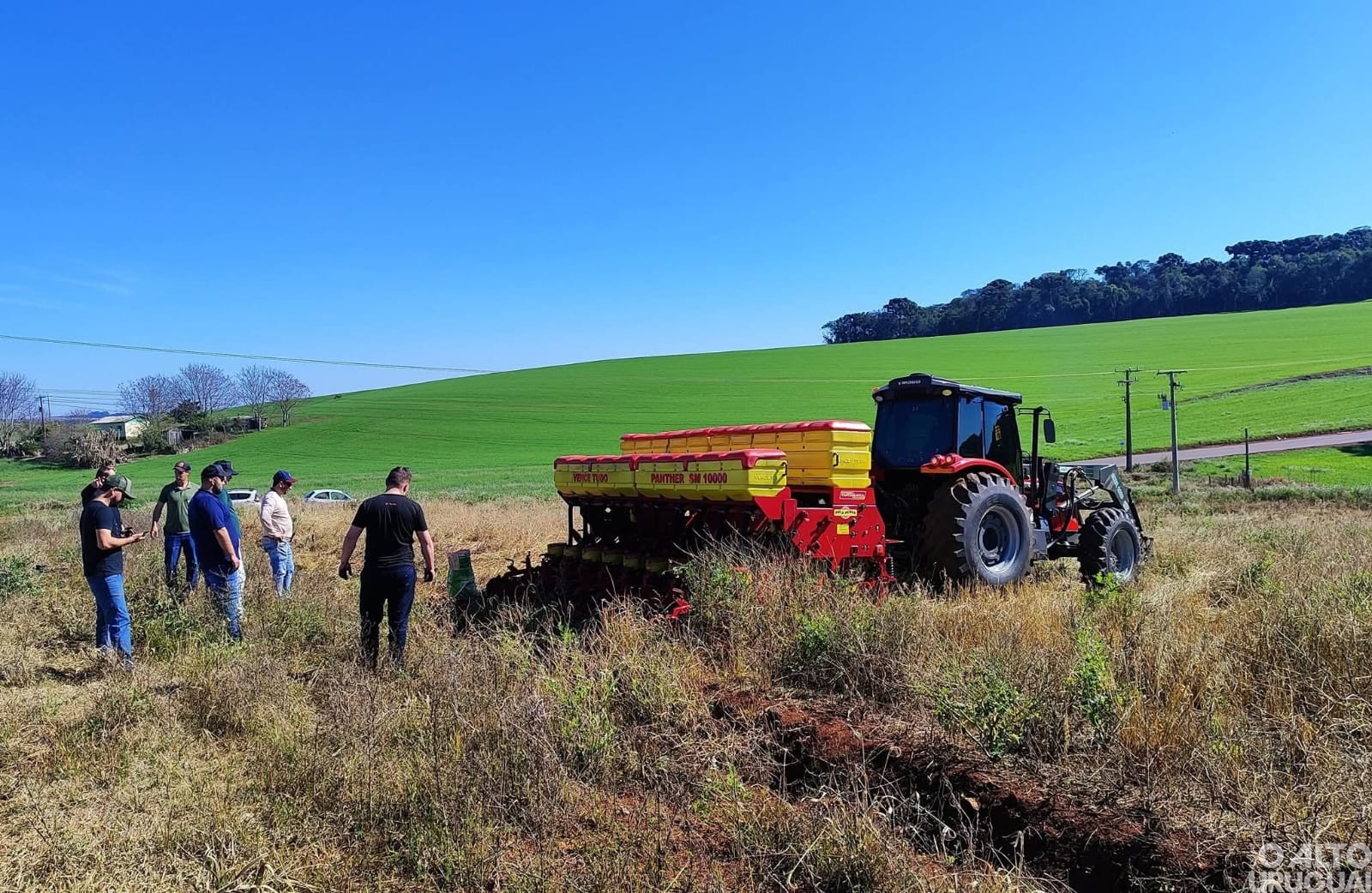 Campo demonstrativo é implantado em Jaboticaba
