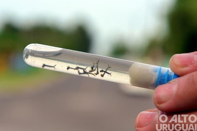 Casos de dengue diminuem cerca de 75% na região