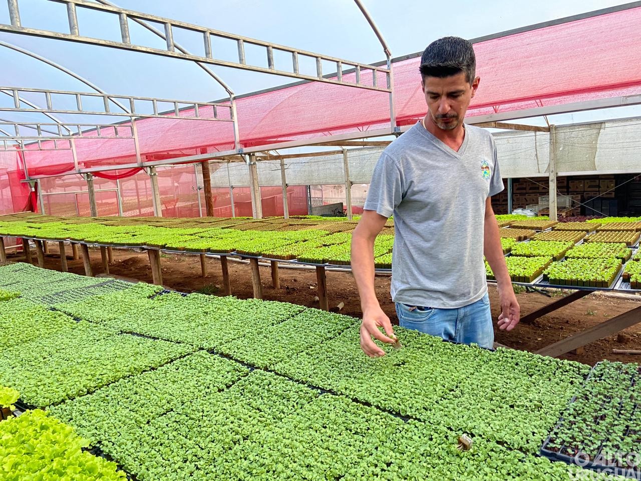 Visitas técnicas do STR iniciam em propriedades de hortifruti