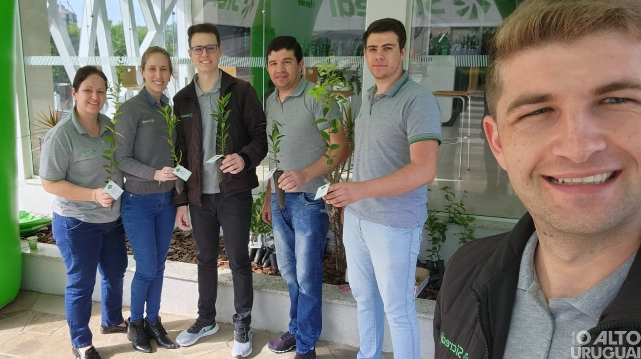 Dia da Árvore é marcado pela intercooperação e voluntariado