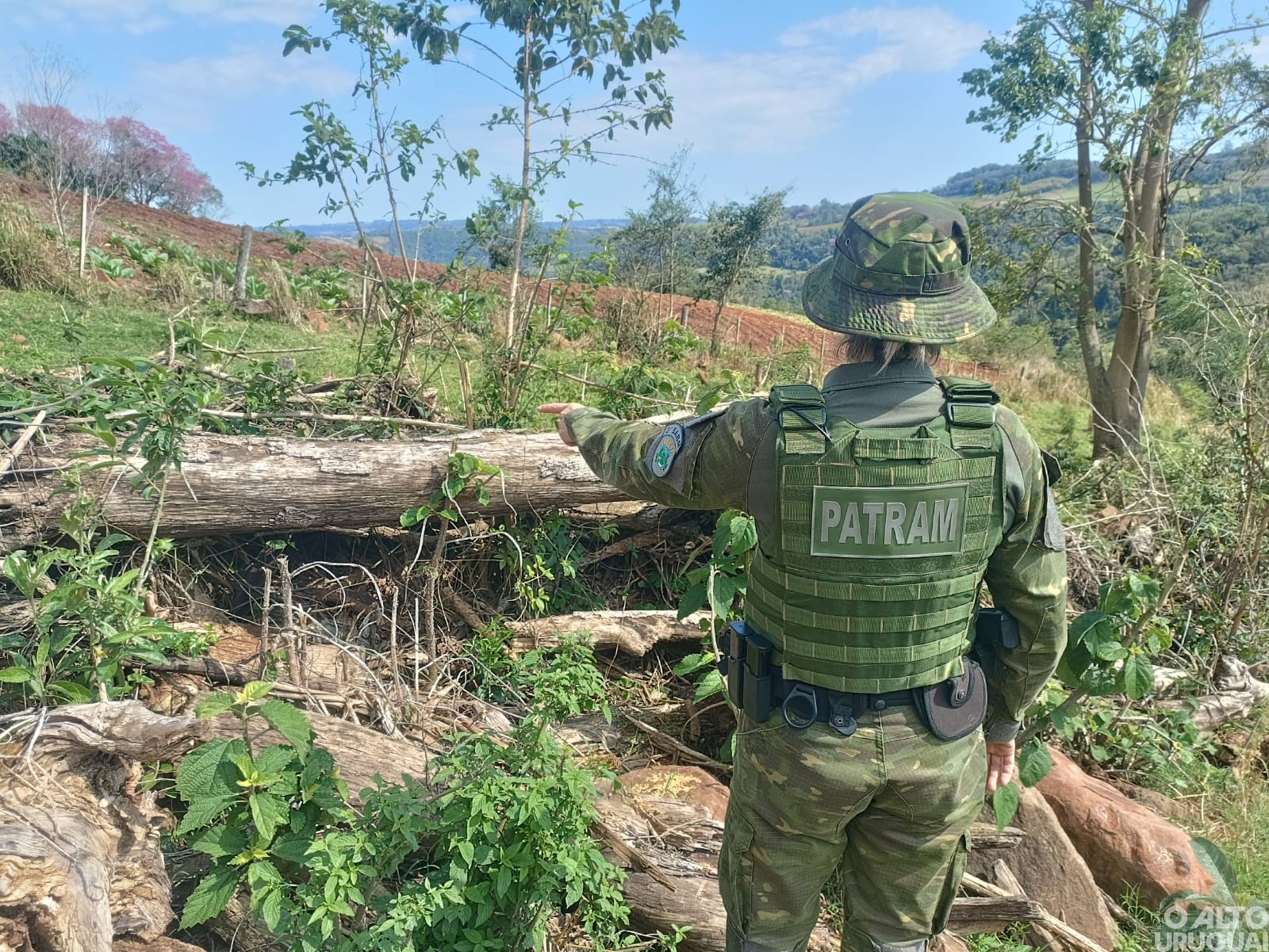 3º BABM constata supressão de vegetação nativa em Caiçara