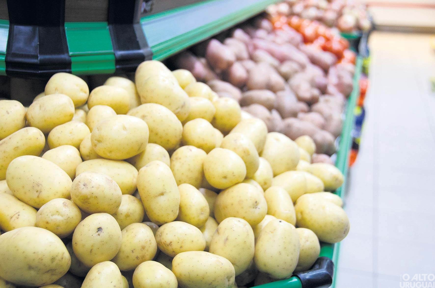 Custo da cesta básica sobe 6,88% no último mês em FW