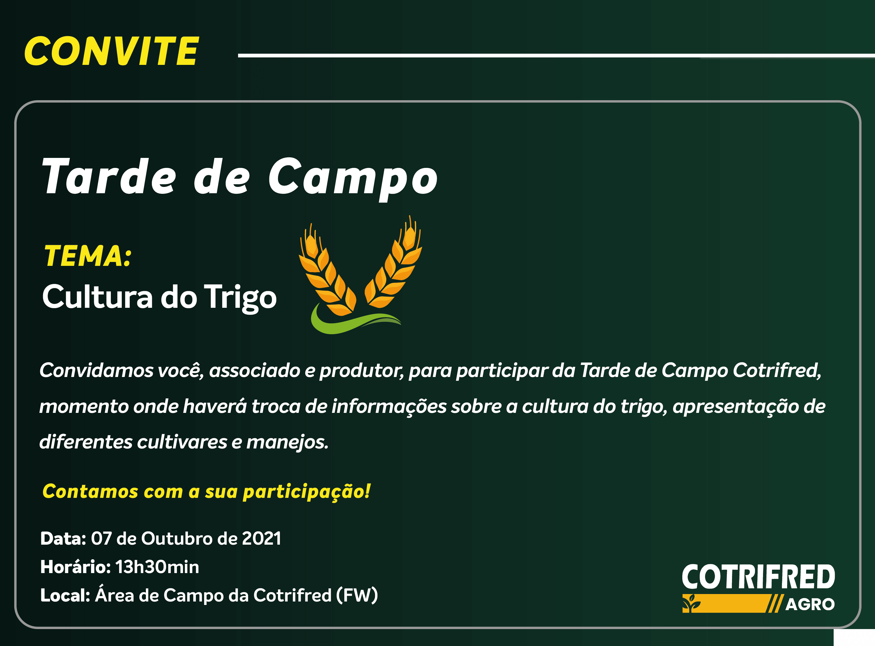 Tarde de campo da Cotrifred terá trigo como foco