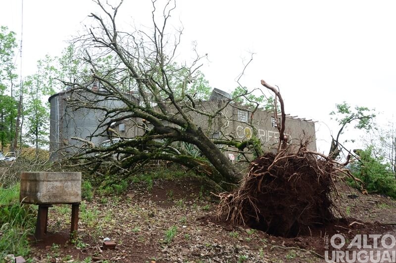 Vendaval em Pinheirinho do Vale: município contabiliza prejuízos para decretar situação de emergência
