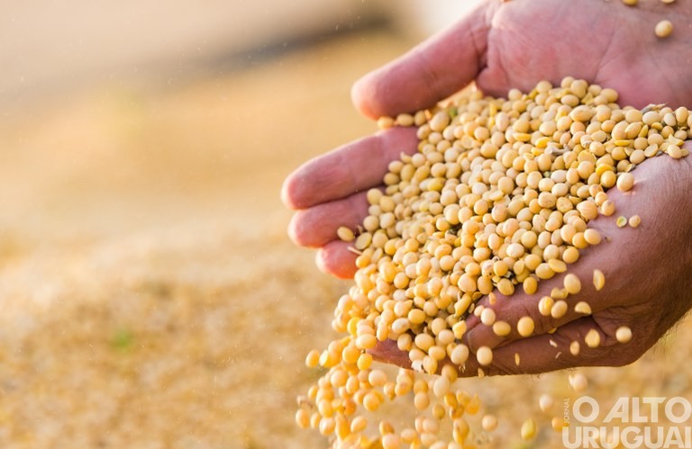 Produção agrícola bate novo recorde e atinge R$ 470,5 bilhões