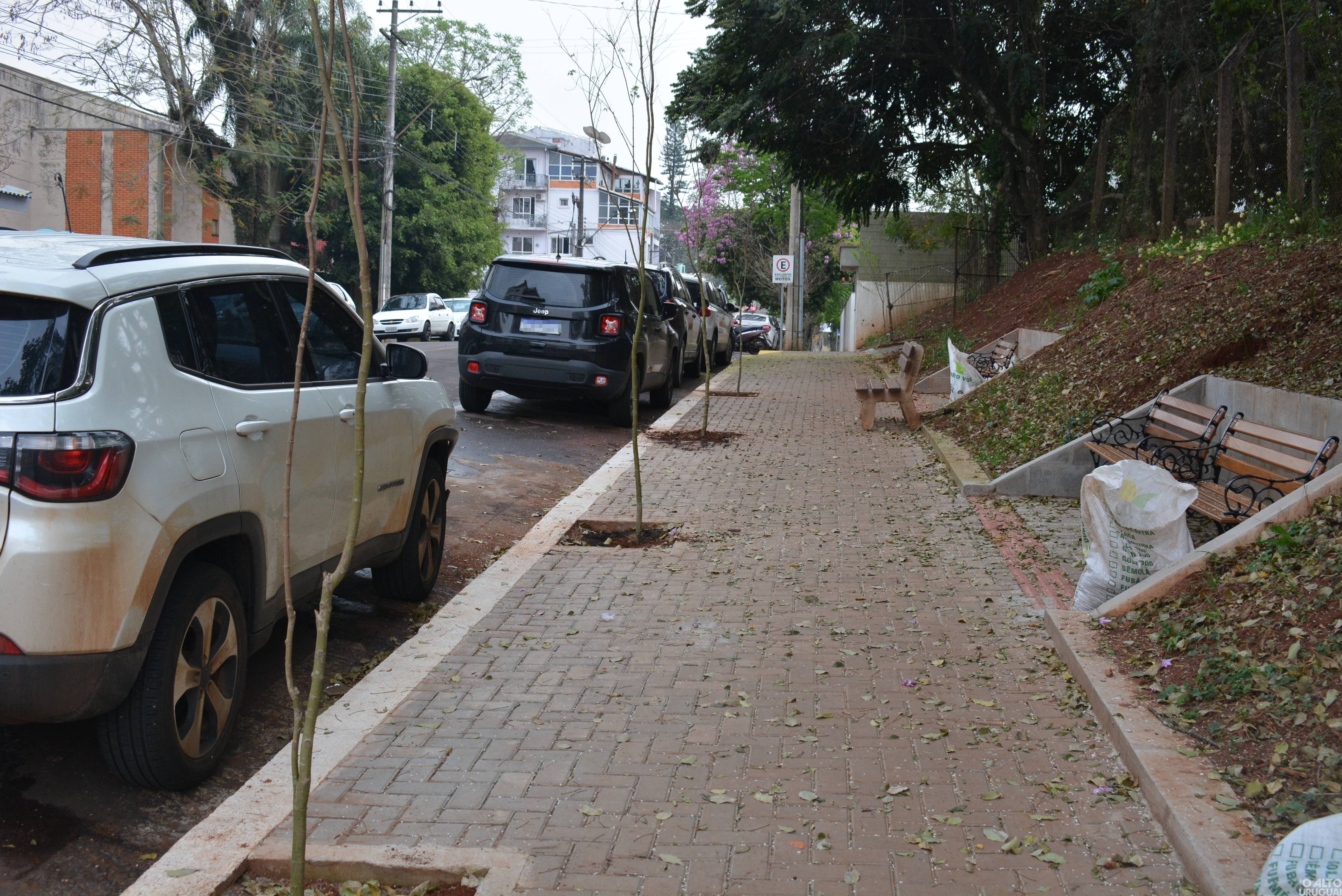 Projeto de arborização é iniciado em FW