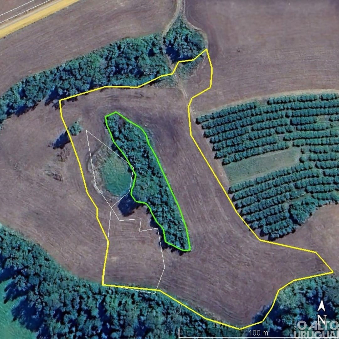 3ºBABM crime de supressão irregular de vegetação é registrado em Planalto