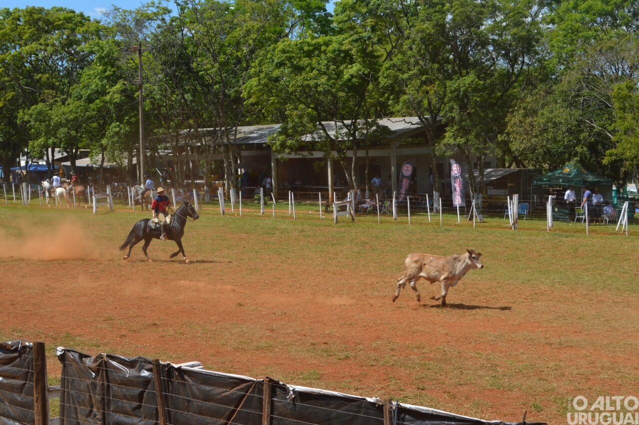 Rodeio Crioulo Interestadual de Seberi encerra neste domingo