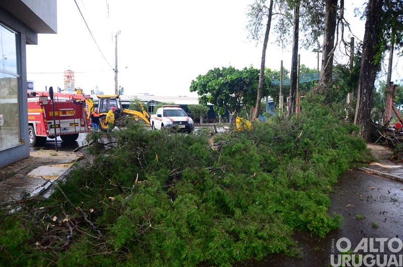 Vendaval causa estragos em Caiçara