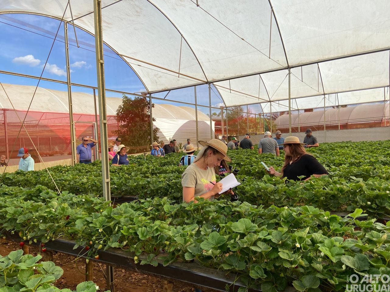 Visitas técnicas do STR iniciam em propriedades de hortifruti