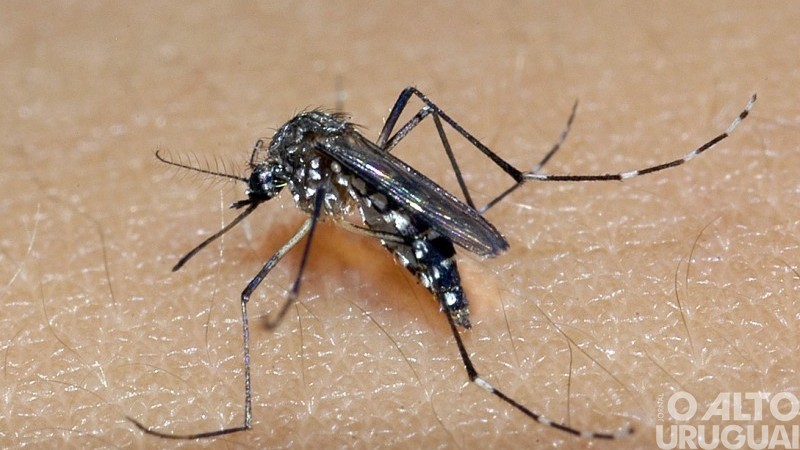 RS apresenta mais casos suspeitos do que o esperado