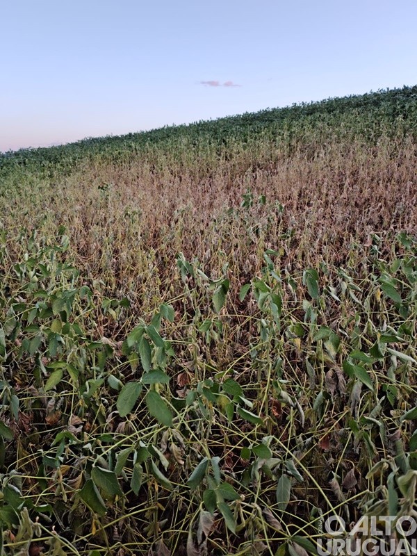 Estiagem em Pinhal resulta em falta d’água até para o consumo humano