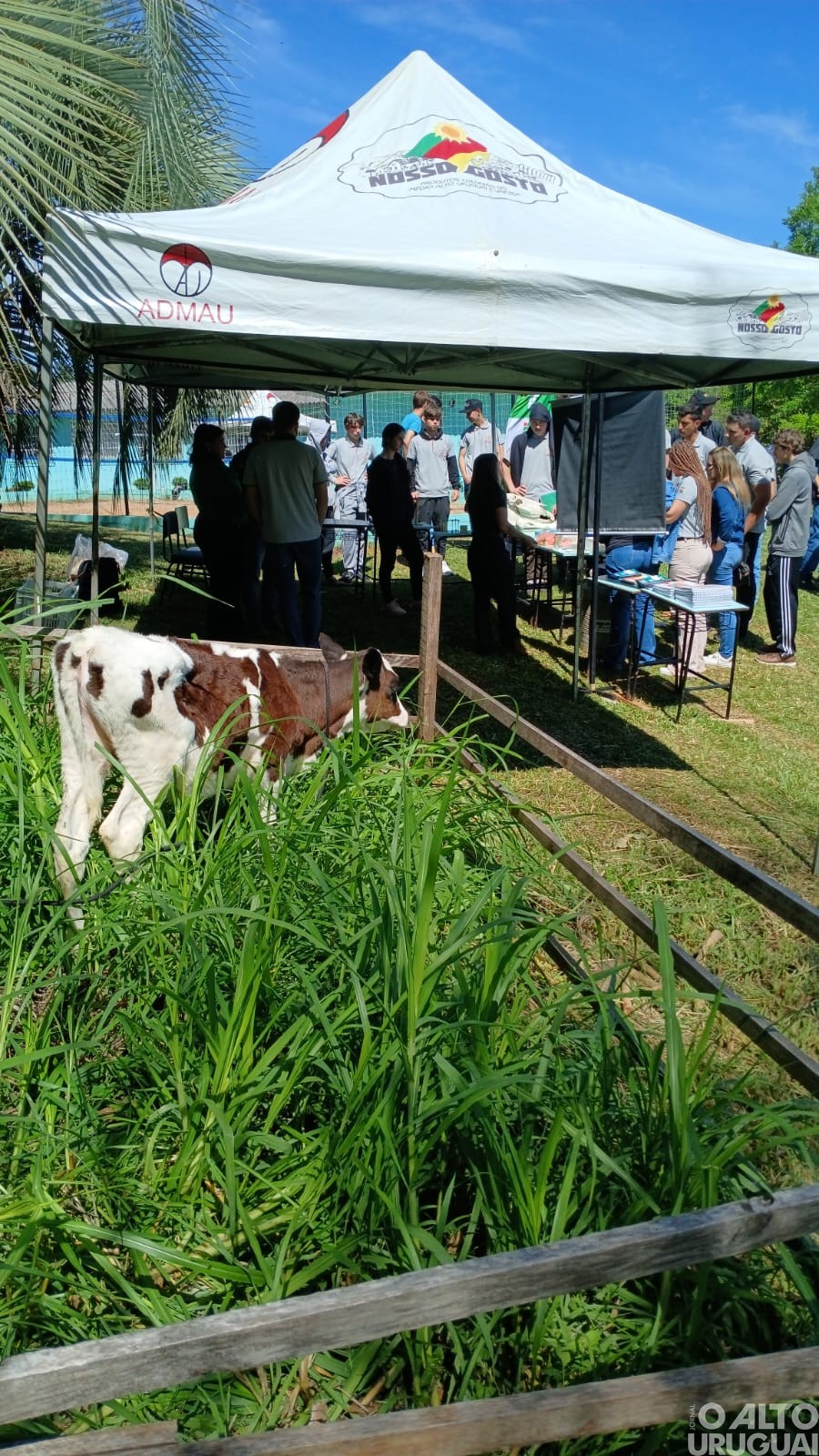 Realizada oficina técnico-pedagógica na CFR-FW