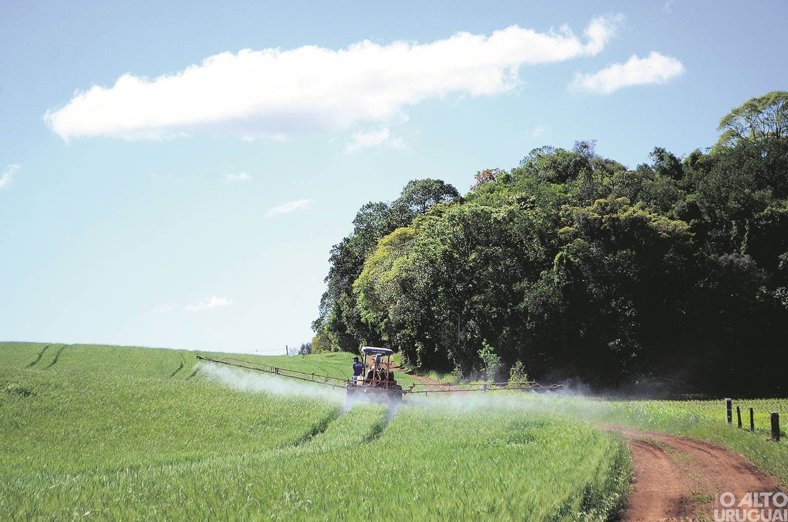 Governo publica novas regras para registro de defensivos agrícolas