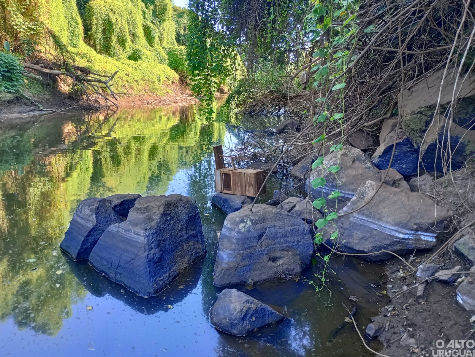 Brigada Militar intensifica Operação Piracema em Rodeio Bonito