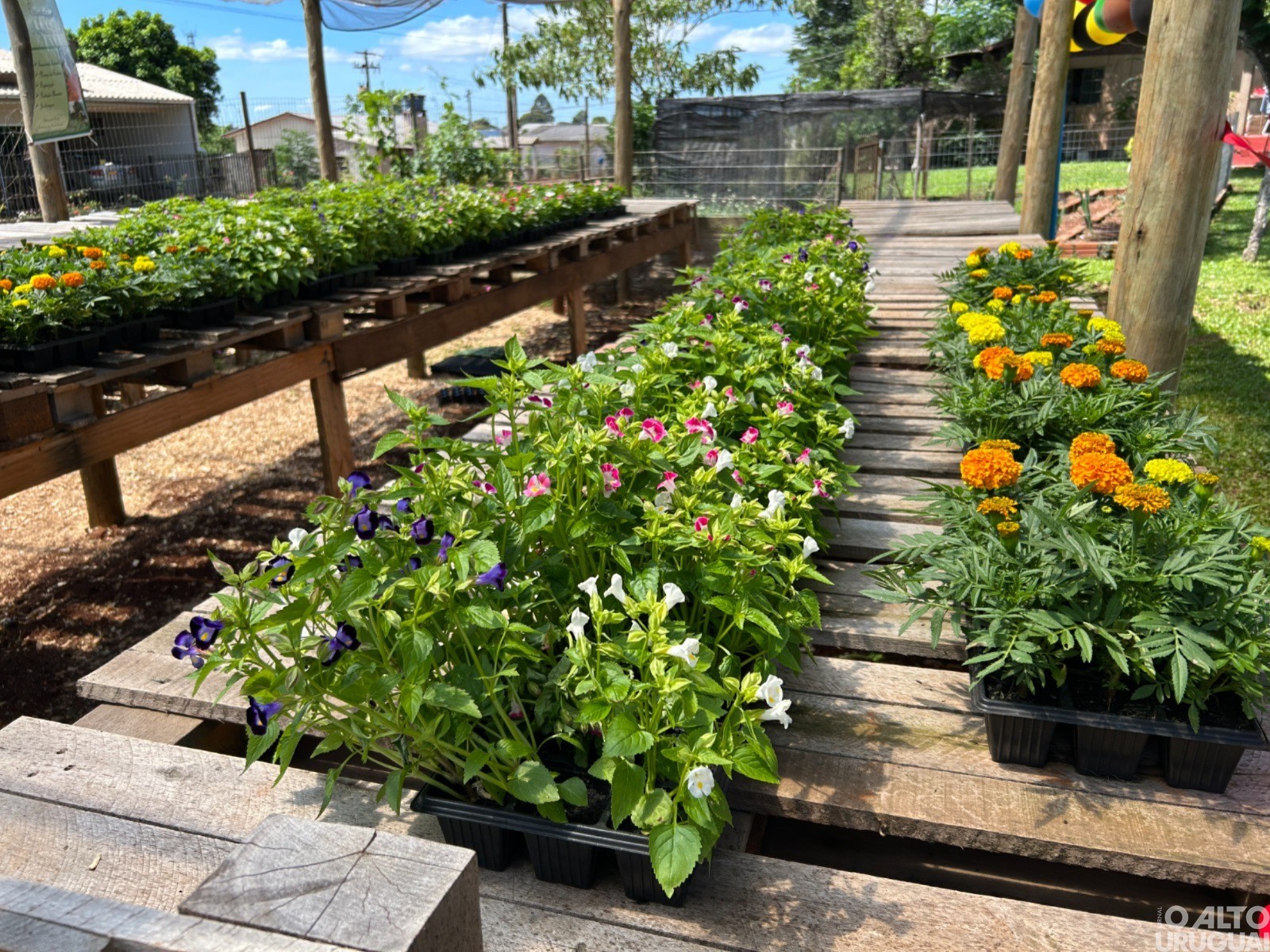 Inaugurado Viveiro Municipal do CEP Criança do Futuro em Seberi