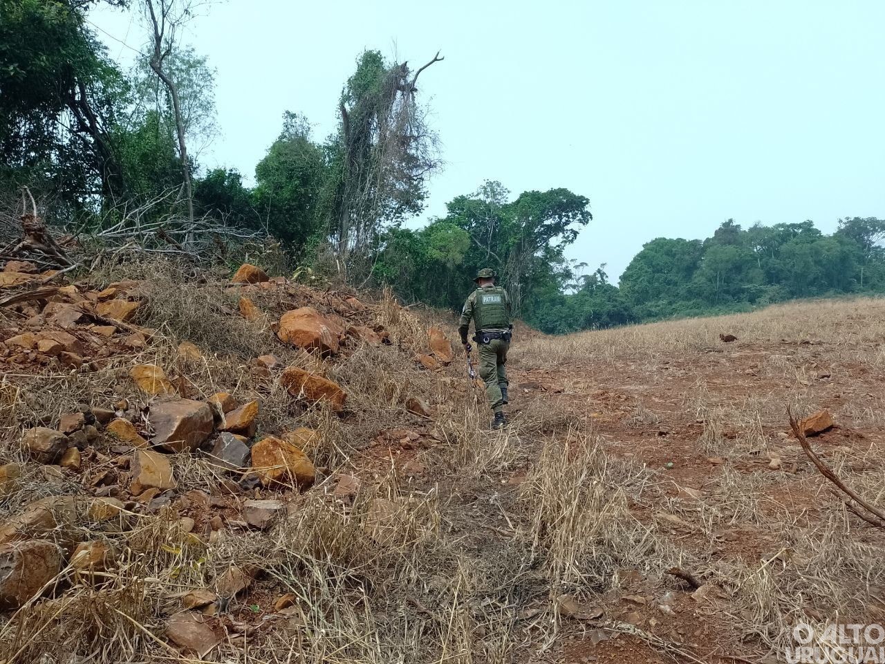 BM constata destruição de vegetação nativa em Planalto