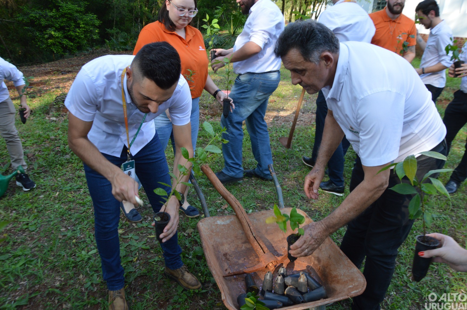 Cresol Raiz realiza ação simbólica com plantio de árvores em FW