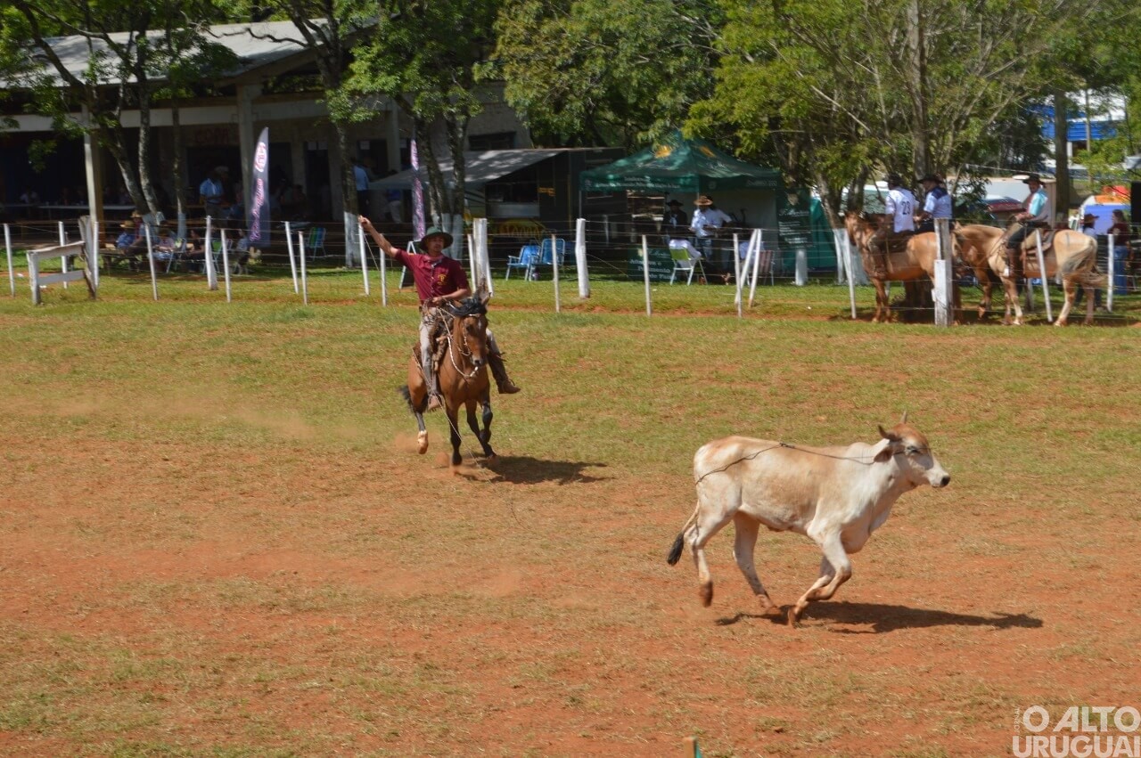 Rodeio Crioulo Interestadual de Seberi encerra neste domingo