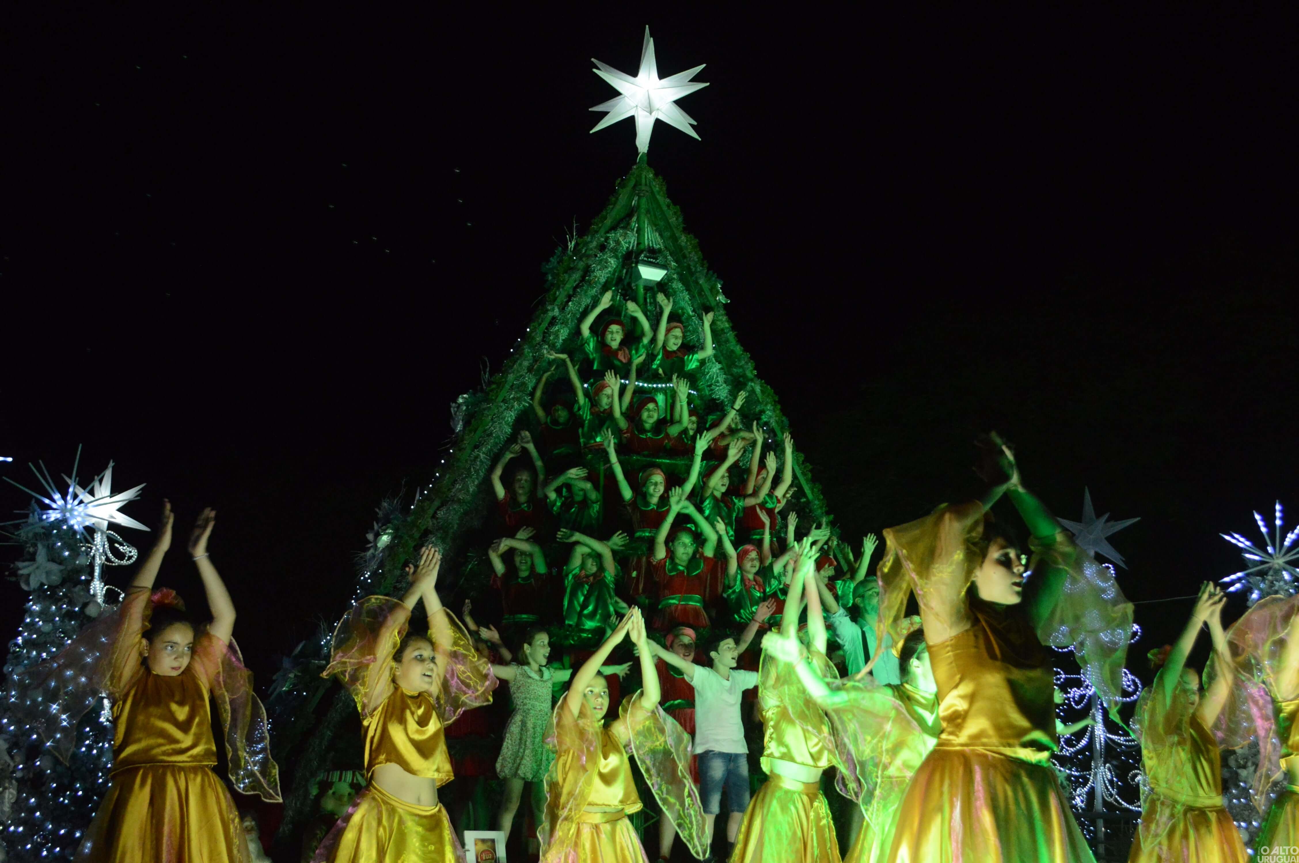 Árvore Cantante encanta noite do Frederico em Luz