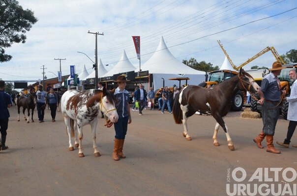 Animais campeões desfilam pela Expofred