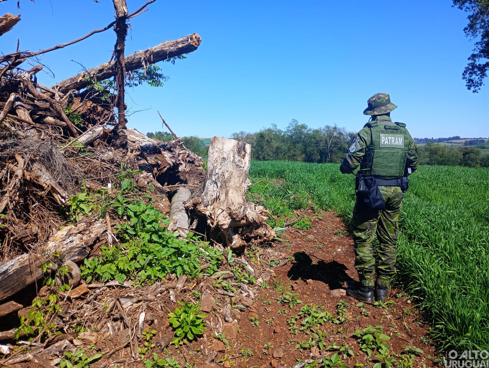 BM constata desmatamento irregular em Taquaruçu do Sul