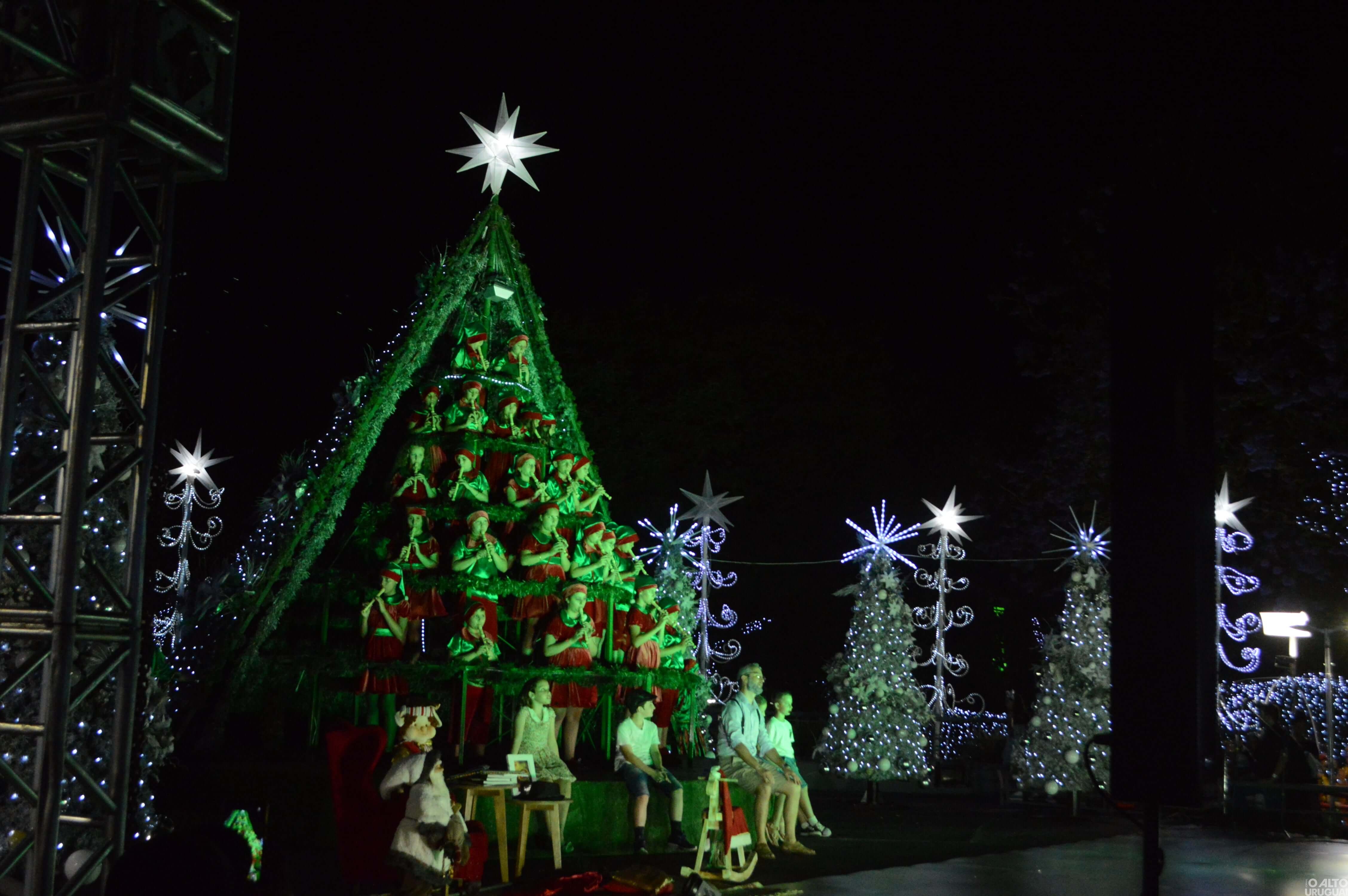Árvore Cantante encanta noite do Frederico em Luz
