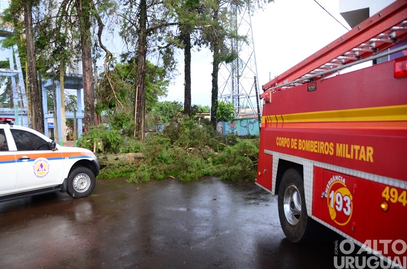 Vendaval causa estragos em Caiçara